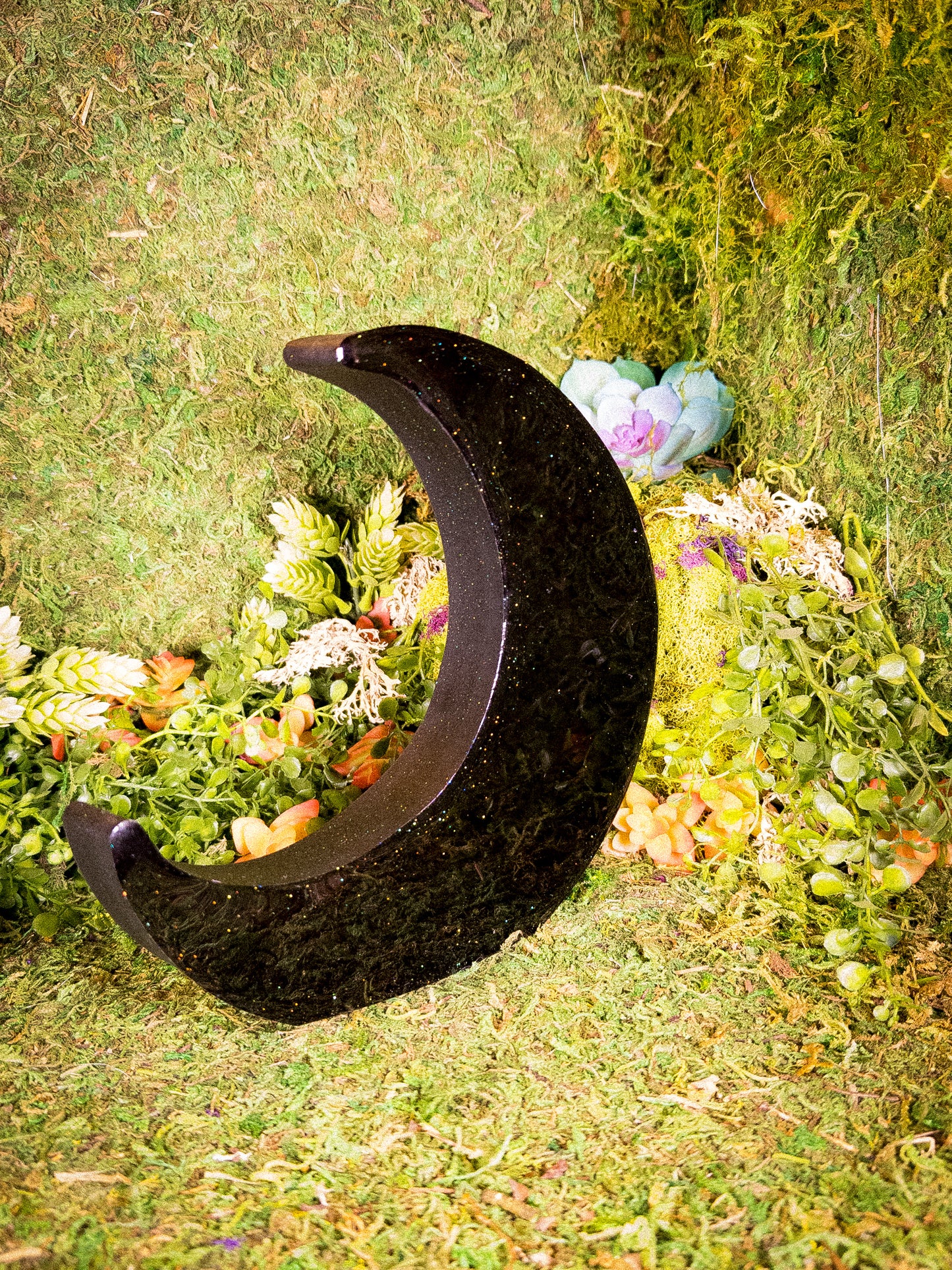 Black Magic Moon Shelf