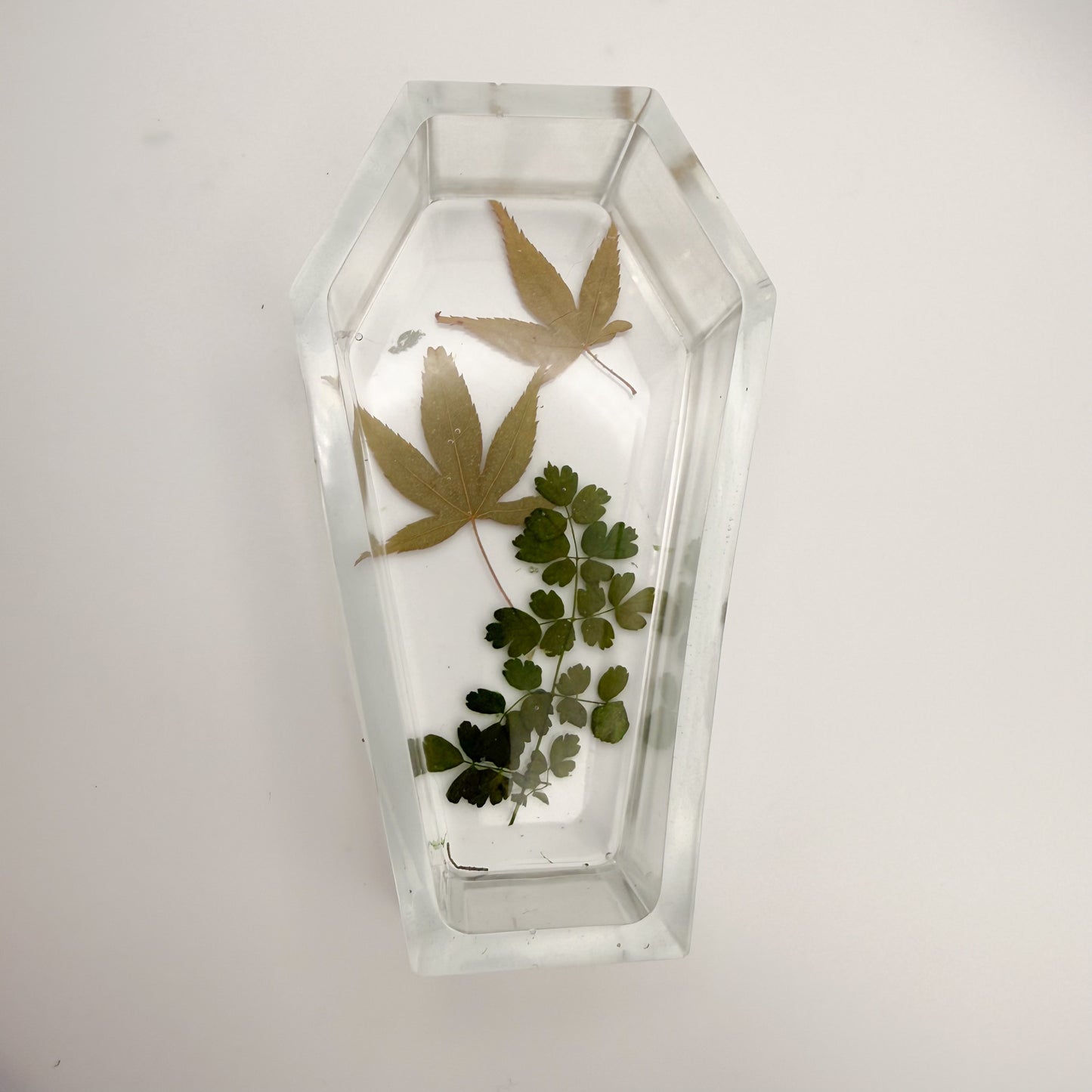 "Clearly Flowers" Coffin Stash Box