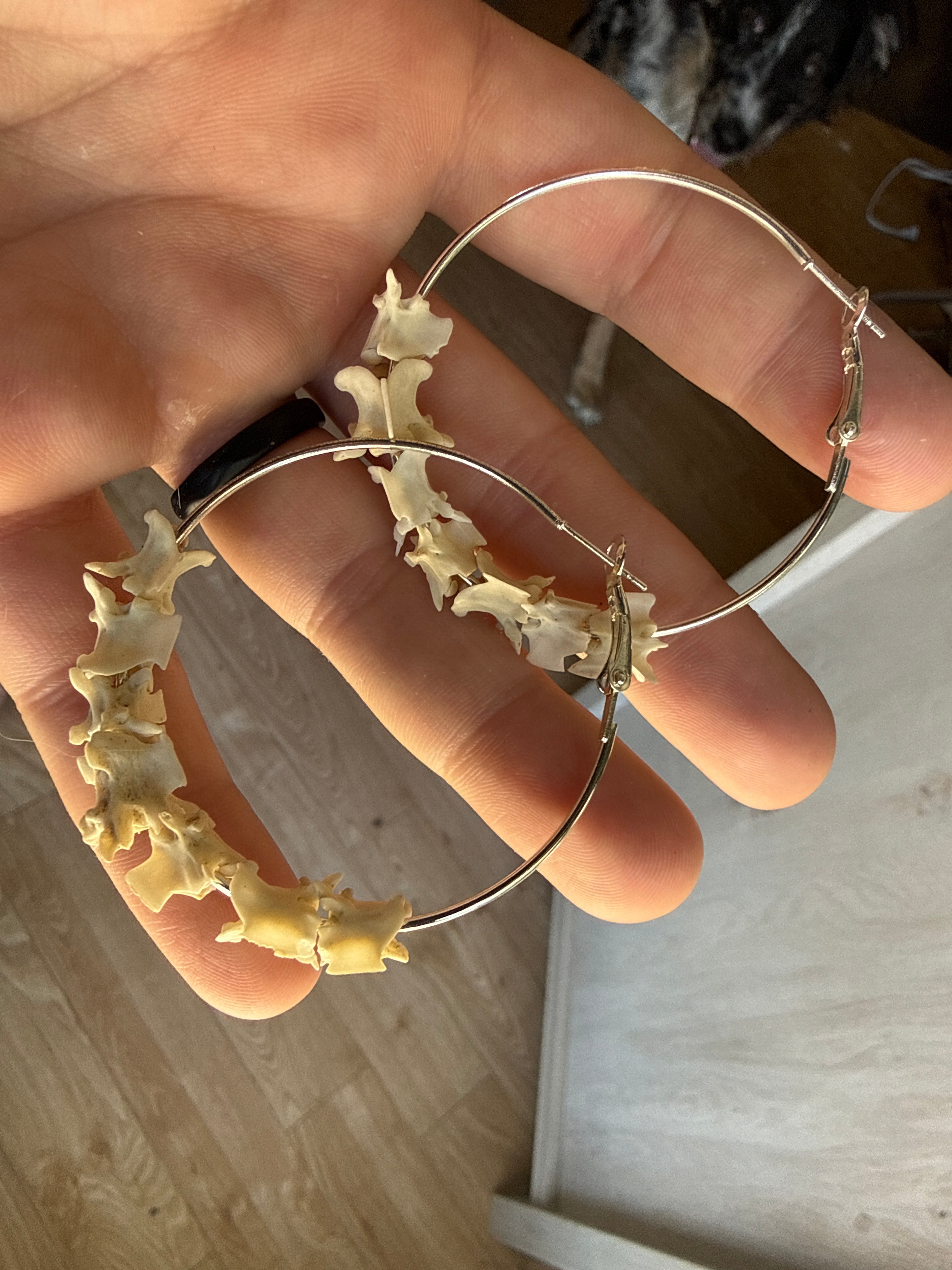 Cobra Vertebrae Hoop Earrings
