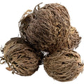 Jericho Flower set of 3 - Rose of Jericho, Resurrection Flow