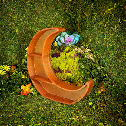 Coral Magic Moon Shelf