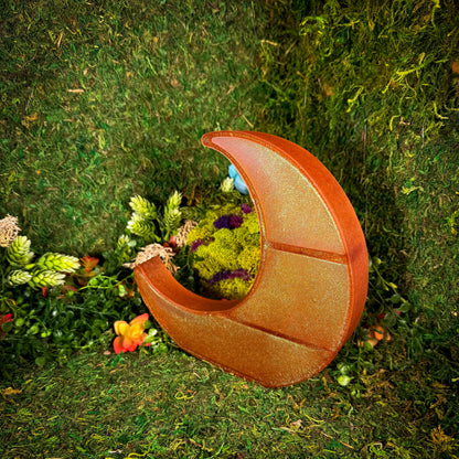 Coral Magic Moon Shelf