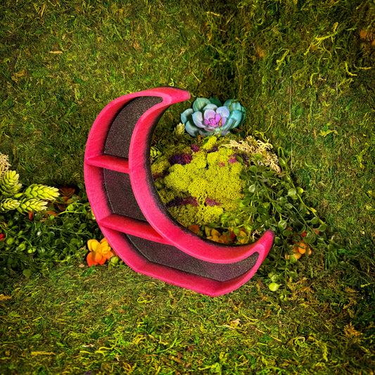 Hot Magic Moon Shelf