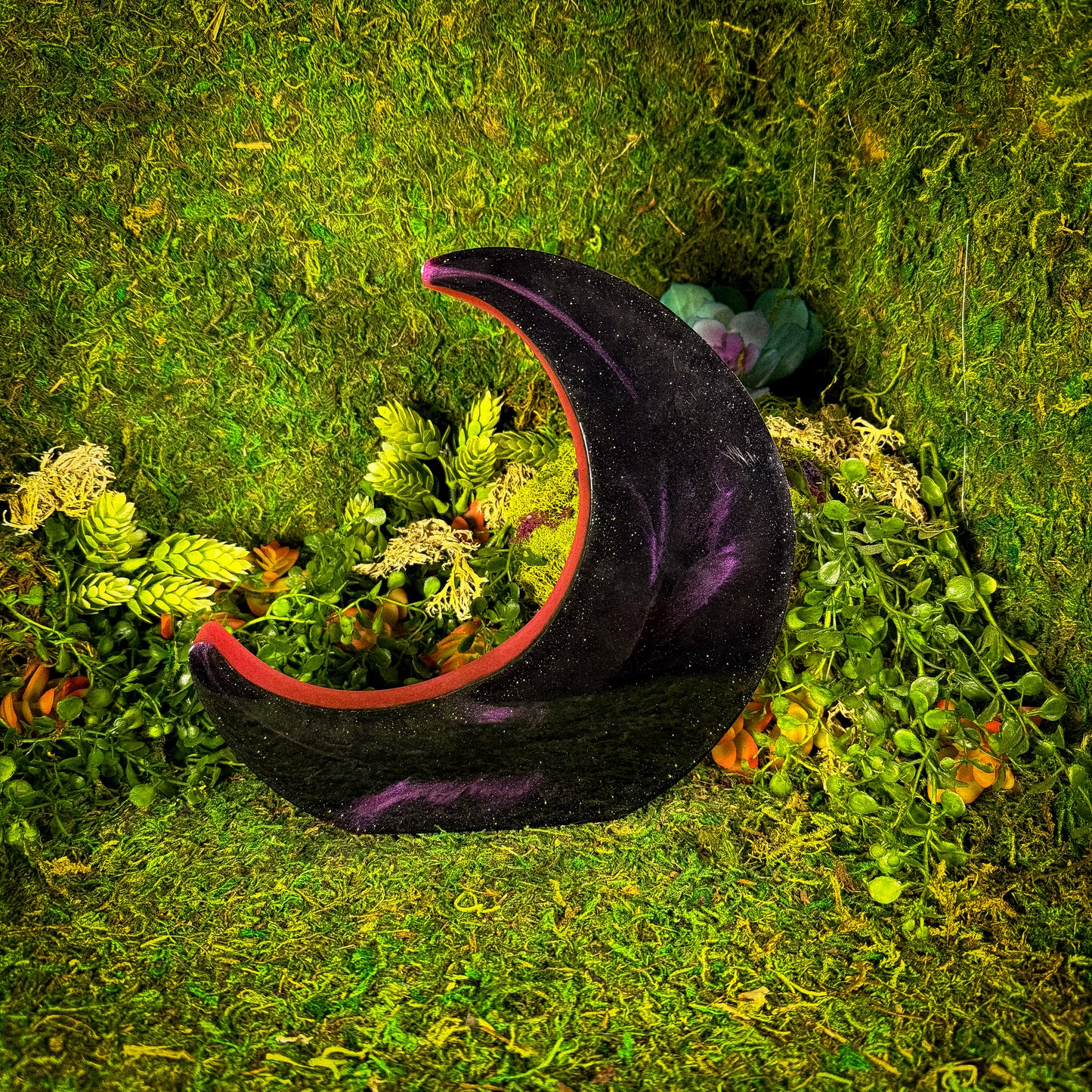 Hot Magic Moon Shelf