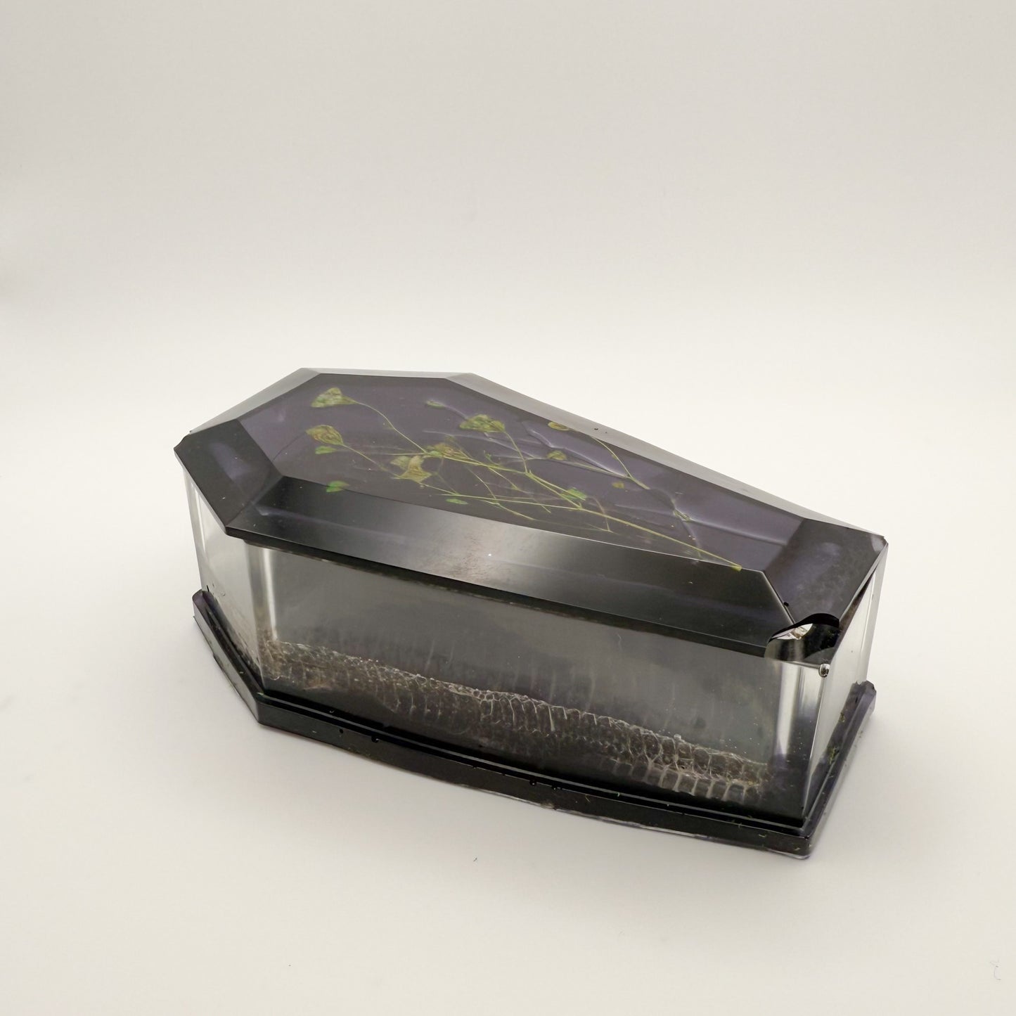 Snake Skin Coffin Stash Box