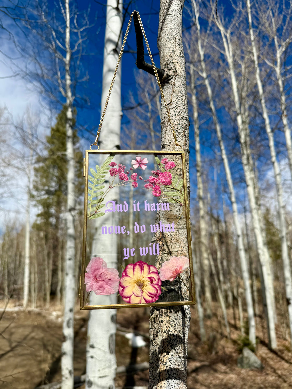 Handmade Pressed Flower Glass Wall Hanging | Botanical Wiccan Decor