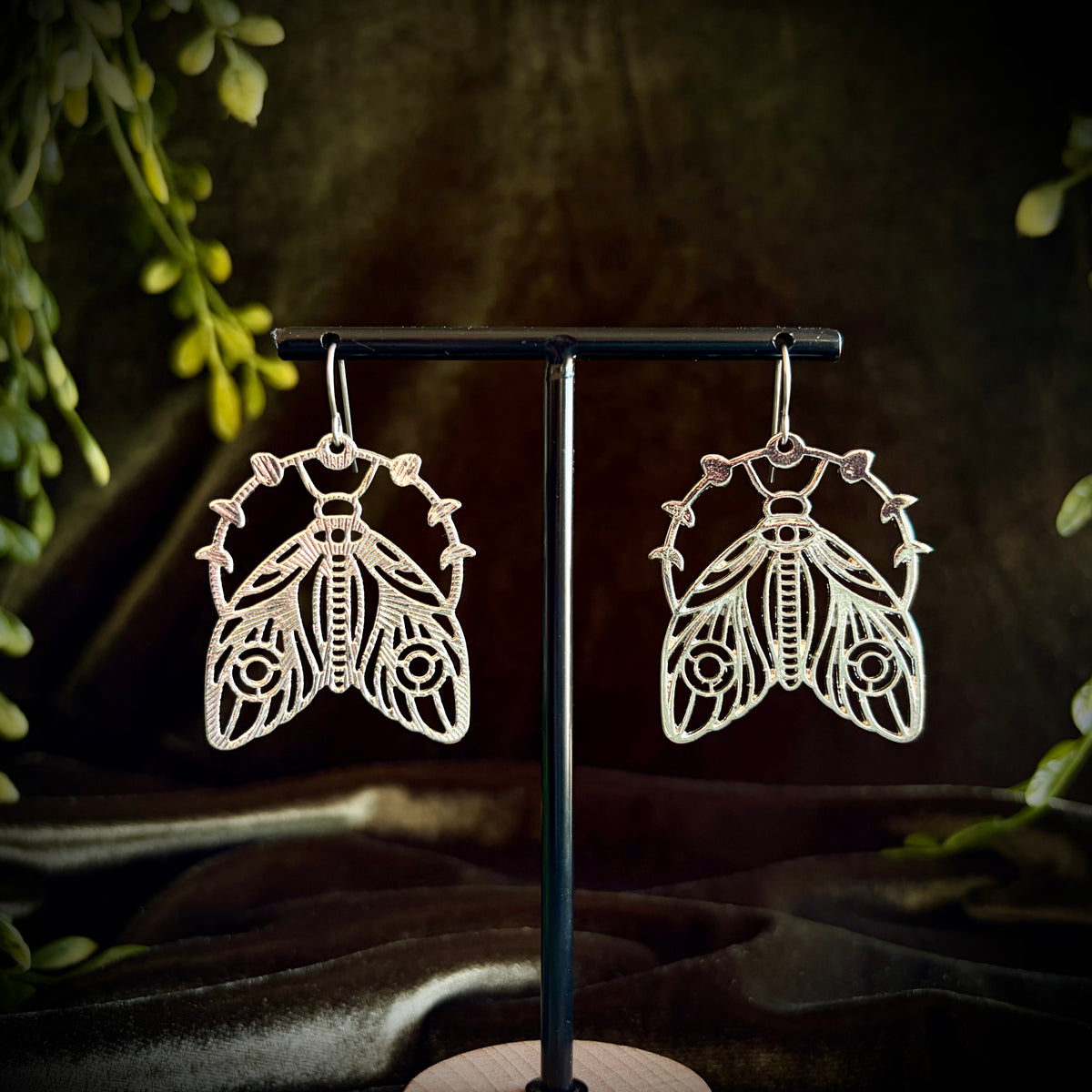 Moths