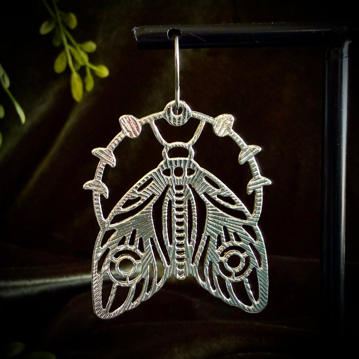 Moths