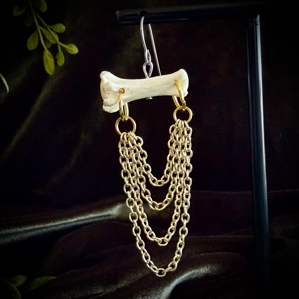 Toe Bone & Gold