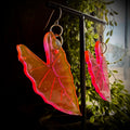 Neon Hot Pink Alocasia Leafs