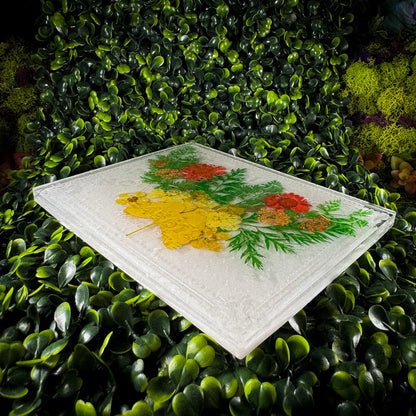 White Witch Ouija Board